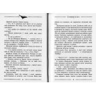 Кам'яні охоронці. Книга 5