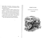Про Дмитра Туптала, Григорія Квітку-Основ'яненка, Тараса Шевченка, Ніла Хасевича, Олексу Довбуша