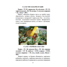 Закарпатська народна цілюща кулінарія
