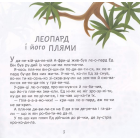 Диво-літак