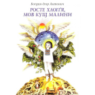 Росте хлоп'я, мов кущ малини