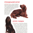 Собаки. Велика книжка
