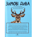 Кольоровий квест. Зимові дива