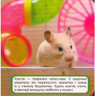 Домашні тварини. Мої перші книжки
