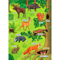 Енциклопедія з наліпками. Лісові тварини та рослини. (+ настільна гра)