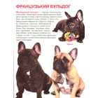 Собаки. Велика книжка
