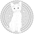 Арт-квадрат. Кошенята