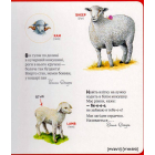 Перша книжка малюка. Хто сказав ку-ку-рі-ку?