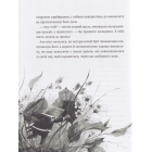 Вітер у вербах