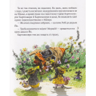 Пригоди картонівців. Хай живе Картонівка! Книга 1