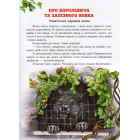 Чарівний світ казки