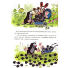 Кротик. Велика книга