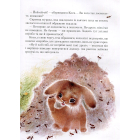 Пригоди зайченятка Косі або таємниця справжньої дружби