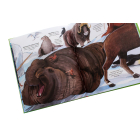 Велика книга тварин