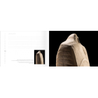 UKRAINIAN ART. From Bronze Age to Contemporary Times
