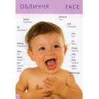 Перша книга малюка. Bebes furst book