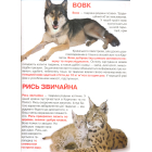 Велика книжка. Тваринний світ України